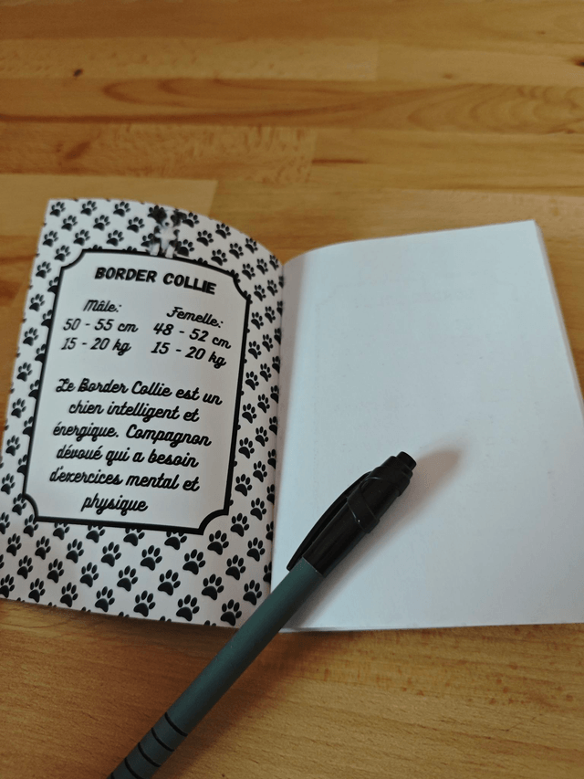 Carnet de note Border Collie