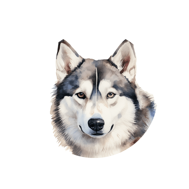 Porte clé Husky