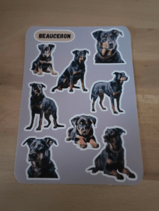 Planche stickers Beauceron