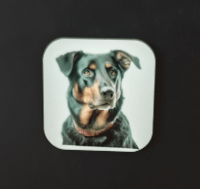 Magnet Beauceron