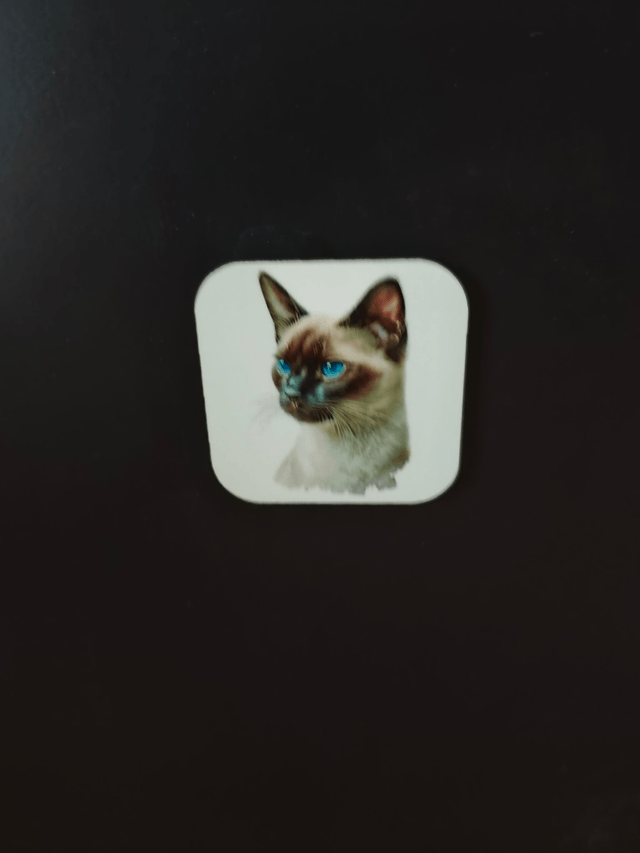 Magnet chat Siamois