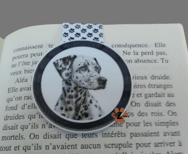 Marque pages Dalmatien (magnétique ou standard) 