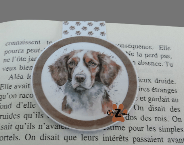 Marque pages Epagneul breton (magnétique ou standard)