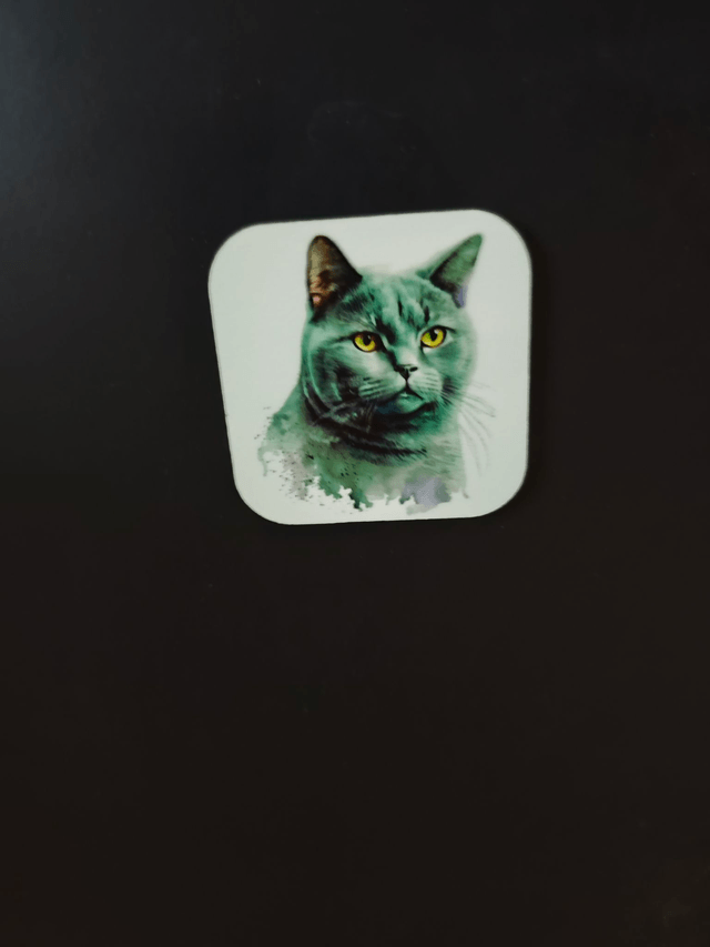 Magnet chat Chartreux
