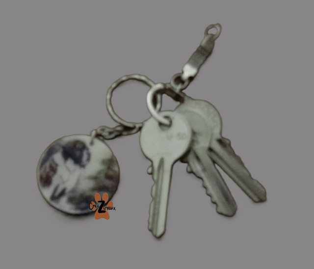 Porte clé Saint bernard