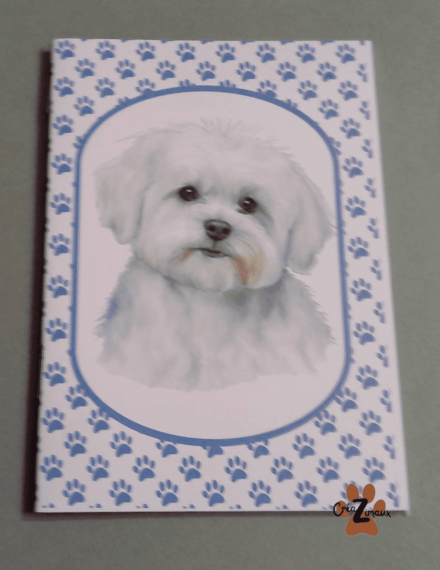 Carnet de note Bichon maltais