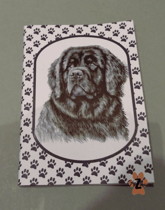 Carnet de note Terre neuve
