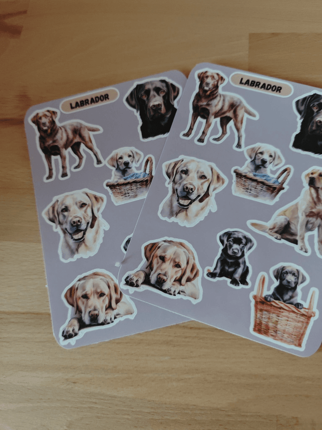 Planche stickers Labrador