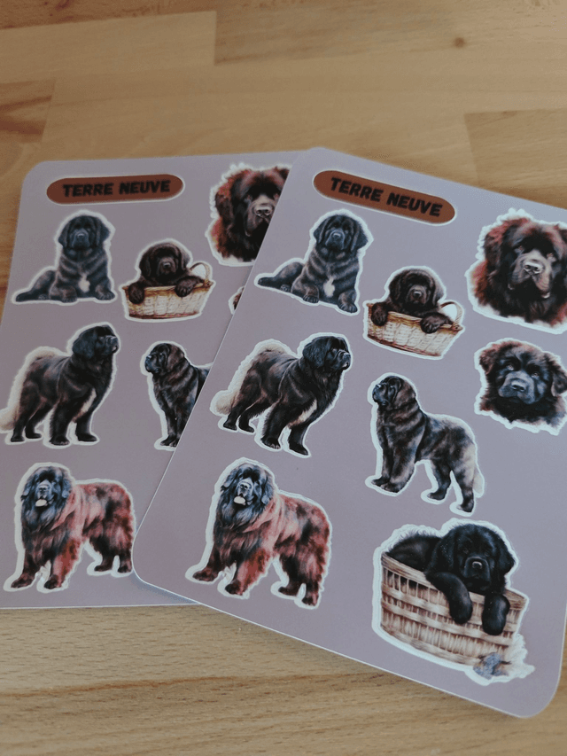 Planche stickers Terre Neuve