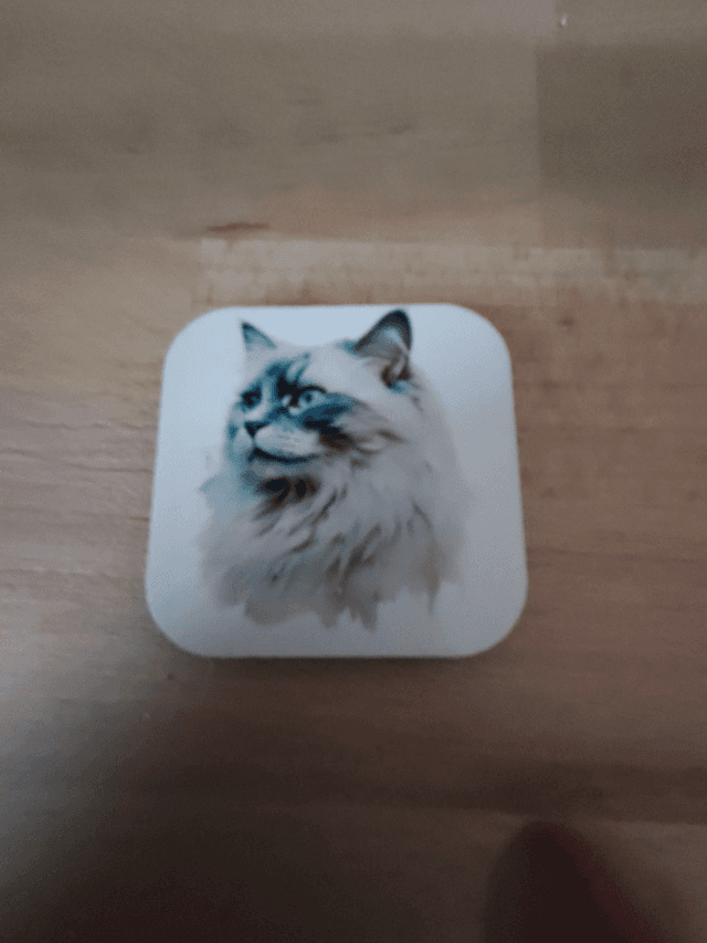 Magnet chat Ragdoll