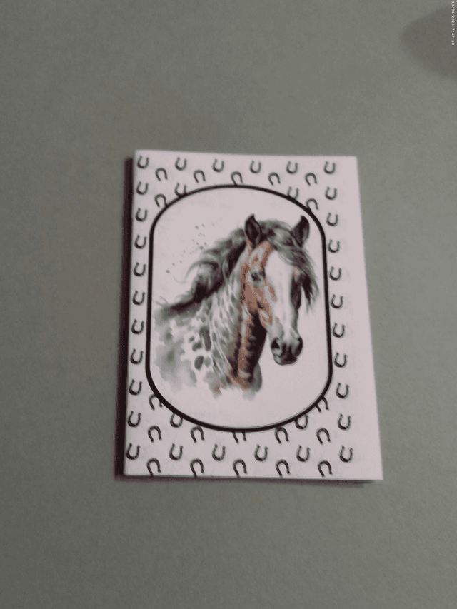 Carnet de note Quarter Horse