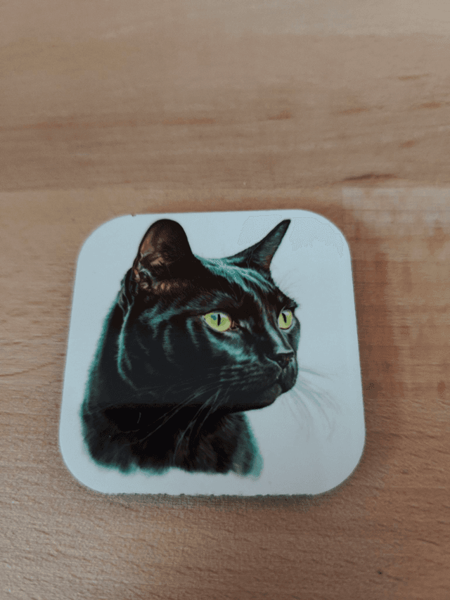 Magnet chat noir