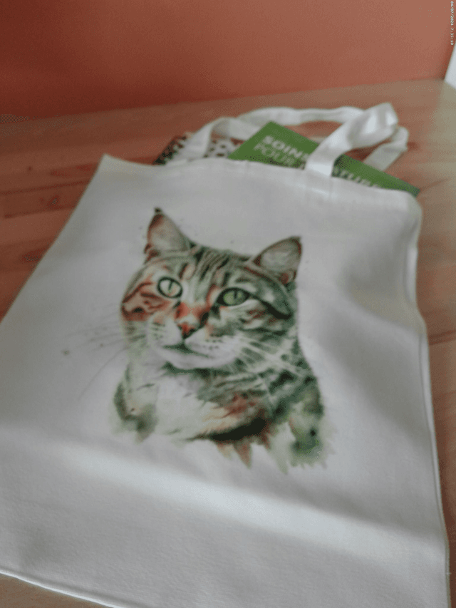 Sac - Tote bag chat tigré