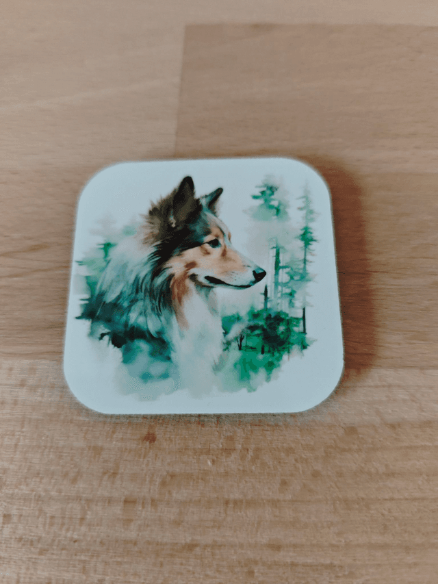Magnet Schetland