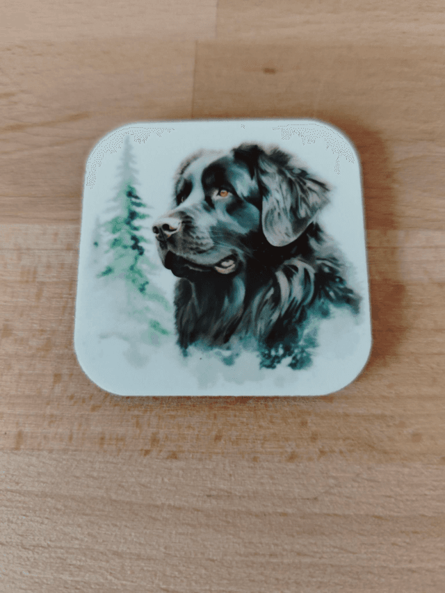 Magnet Terre Neuve