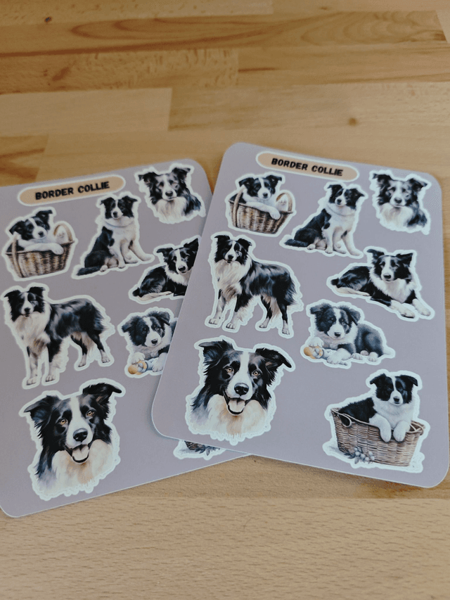 Planche stickers Border Collie