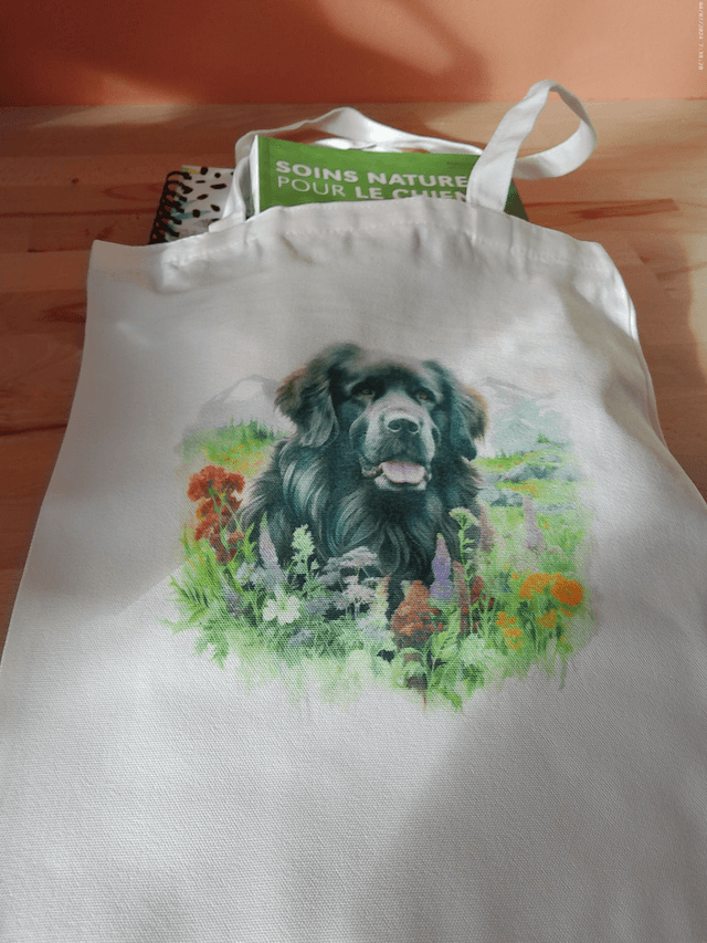Sac - Tote bag Terre Neuve