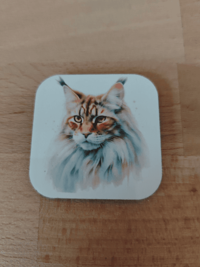 Magnet chat Maine Coon